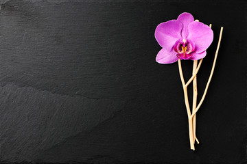 Poster - Flower arrangement of orchids.