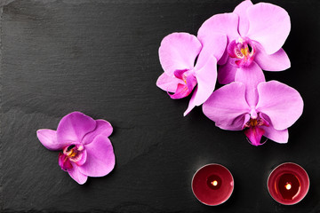 Poster - Flower arrangement of orchids.