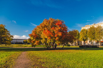 Wall Mural - Autumn city streets on a sunny day