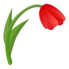 Poster - Red tulip icon. Cartoon of red tulip vector icon for web design isolated on white background