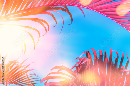 Copy space pink tropical palm tree on sky abstract background. Summer vacatio...