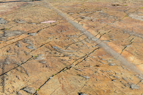 Fotografía Glacial Striations on exposed Pre-Cambrian Gneiss