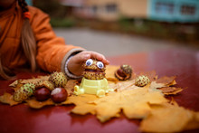 Autumn Leaves And Chestnut With Toy Eyes On The Table