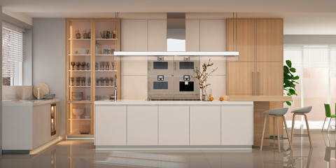 Modern kitchen interior 