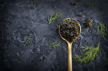 Black Caviar in a spoon on dark background. High quality real natural sturgeon black caviar close-up. Delicatessen. Texture of expensive luxury caviar. Food Backdrop. Top view, flatlay