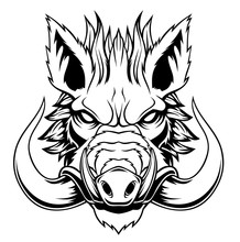 Wild Boar Head Mascot.