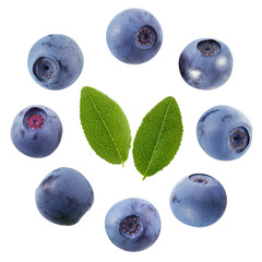 Wall Mural - blueberry leaves isolated on white background.