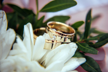 Wedding rings, gold and diamond on a white chrysanthemum, close-up. Two rings among the white petals, selective focus.