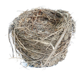 Wall Mural - Nest isolated on white background