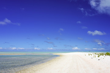 Wall Mural - A man walks along a white sandy beach next to a turquoise lagoon on the island of Fakarava in the South Pacific