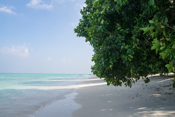 Wall Mural - Radhanagar Beach at Havelock Island