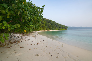 Wall Mural - Radhanagar Beach at Havelock Island