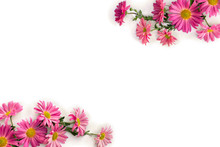 Frame Of Flowers Pink Chrysanthemum On A White Background With Space For Text. Top View, Flat Lay