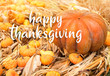 happy Thanksgiving. Ripe orange pumpkins background. Autumn harvest, fall vegetables. Beautiful autumn composition with pumpkin. Thanksgiving day concept. close up, soft selective focus
