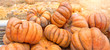 autumn background with pile ripe orange pumpkins. Autumn harvest, fall vegetables. Beautiful composition with pumpkin on hay. Thanksgiving day concept. soft selective focus