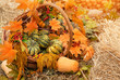 beautiful decorative pumpkins in basket. Autumn harvest of ripe pumpkins, fall concept. Thanksgiving and Halloween concept. copy space. soft selective focus