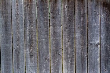 Wall Mural - Background from wooden boards of natural color