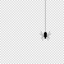 Spider Icon Mock Up Vector Illustration Isolated