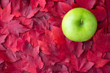 green granny smith apple on a background of red maple leaves, fall background