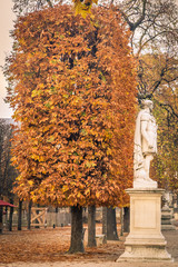 Alley of the Jardin des Tuileries covered with orange autumn leaves, statue in the Tuileries garden in Paris France on a beautiful Fall day