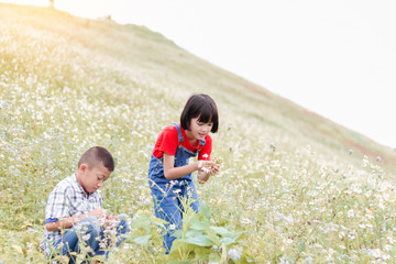 Poster - Asian Little boy and girl in flowers garden