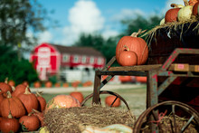 Pumpkin Patch And Farm Backgrounds With Fall Colors