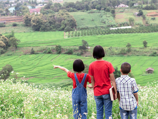 children standing on mountain flowers and looking farm.little girl showing with his hand