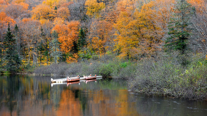 Wall Mural - Canoes in Parc de la national Jacques Cartier in Quebec,Canada