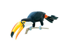 Toucan Bird In A Tree Branch On White Isolated Background