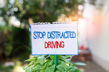 Wall Mural - Word writing text Stop Distracted Driving. Business photo showcasing asking to be careful behind wheel drive slowly Plain empty paper attached to a stick and placed in the green leafy plants