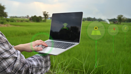 Agriculture technology attractive farmer navigating farmland with laptop computer  innovations for increasing productivity in agriculture.