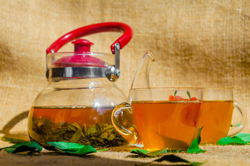 glass teapot and two cup of green tea or black tea with fresh leaves on the back of a traditional background sackcloth