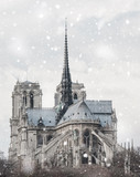 Fototapeta Paryż - Notre Dame cathedral in Paris, France in winter