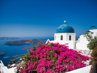 Blooming bush and white cathedral over blue sea