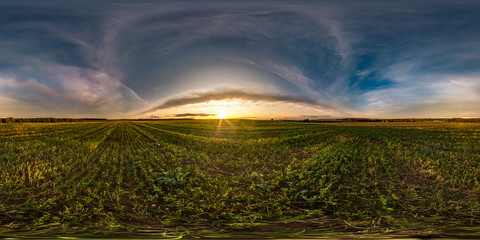 Wall Mural - full seamless spherical hdri panorama 360 degrees angle view among fields in summer evening sunset with awesome blue pink red clouds in equirectangular projection, ready for VR AR virtual reality