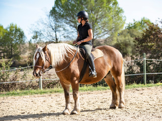 Sticker - riding girl and comtois horse