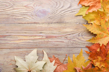 Different autumn leaves on wooden background