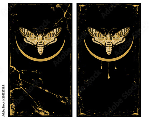 Fotografía set of backgrounds with butterfly death head hawk and moon in gold and black col
