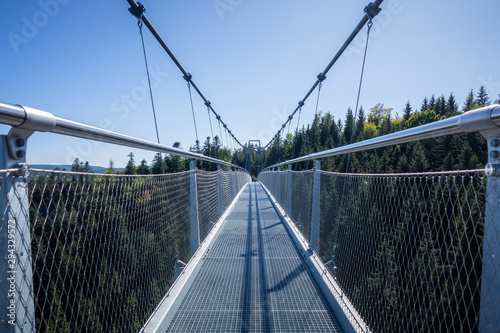 Fototapeta most 3d   most-kablowy-w-bad-wildbad-w-poludniowych-niemczech