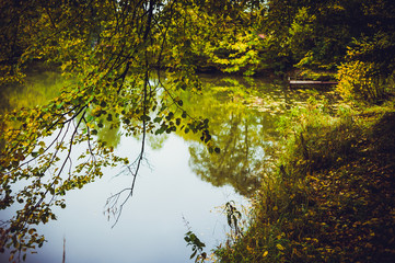 Beautiful colorful autumn leaves and trees on the lake