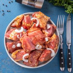 Sticker - Marinated pork  with spices and onion ready for cook. Top view.