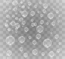 White Beautiful Bubbles On A Transparent Background Vector Illustration. Soap Bubbles.