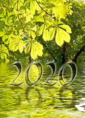 Wall Mural - 2020, green leaves and water reflections, nature and environment zen new year greeting card