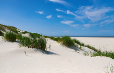 Dünen Wangerooge Strand Nordsee Sommer Nationalpark Wattenmeer Dünengras Horizont Ostfriesland Küstenschutz Sand Wind Meer Welterbe Urlaub Ferien Freizeit Spaziergang Gezeiten Sturmflut