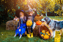 The Concept Of Child Friendship, Peace, Kindness, Childhood. Composition Of Pumpkin And Halloween Decorations For Children In Garden.