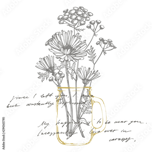 Tansy and Chamomile. Bouquet of hand drawn flowers and herbs. Botanical plant...