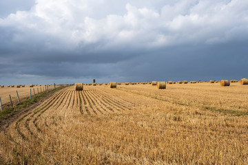 Harvested straw field with round dry hay bales in front of mountain range. Cut and rolled hay bales lay in a fieldhay bales in the sunset. Salisbury, Stonehenge.