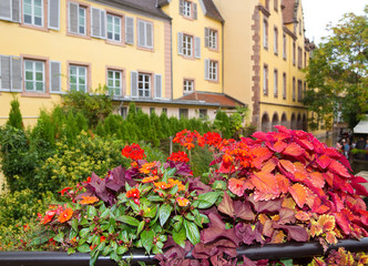 Wall Mural - Colmar, Elsass, Frankreich