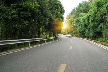 Wall Mural - Curved roads in the forest