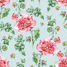 Watercolor Vintage Flowers Mallow Seamless Pattern, Floral Botanical Texture